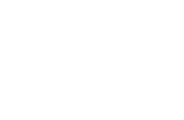 Sturdy Coaching