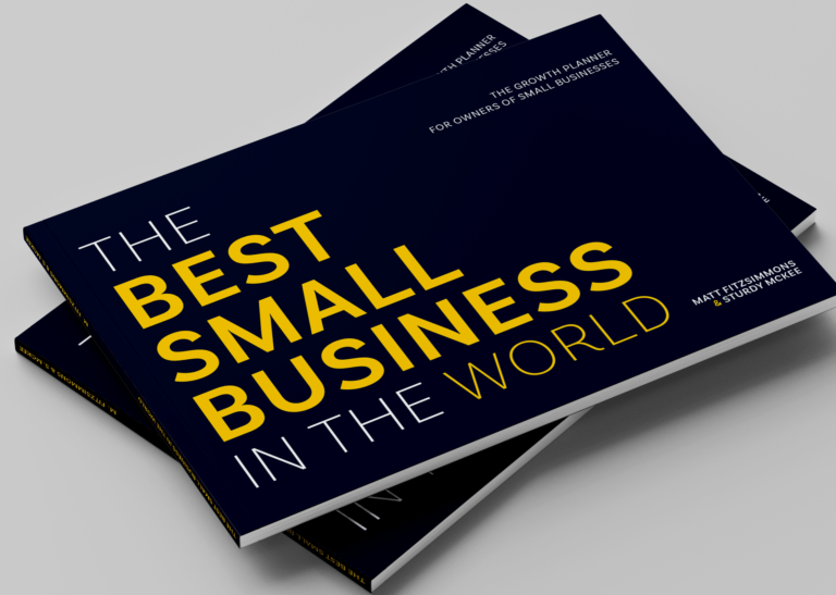 The Best Small Business In the World book cover